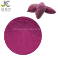 Polvo de camote morado soluble en agua